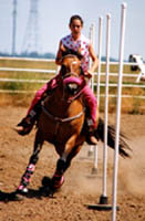 Pole Bending around 6 poles is primarily a skill event.  About half of the CGA events are primarily skill events.