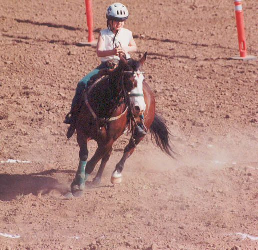 California Gymkhana Association District 7 Clements (CGA District 7