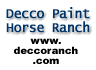 Decco Ranch - Top Cutting Bred Paint Horses For Sale